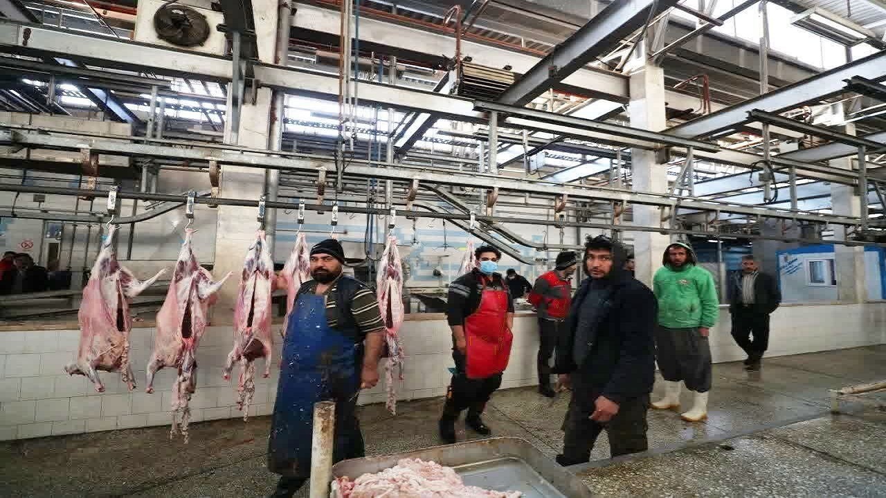 310 تن گوشت ناسالم از چرخه ورود به بازار در آذربایجان غربی حذف شد!