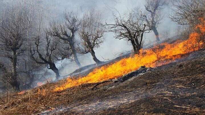 آتش‌سوزی گسترده در مراتع روستای گاومیشان بوکان