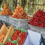 هر محصول، یک جشن؛ روایت آذربایجان غربی از سنت و شادی