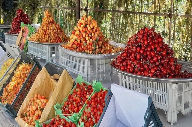 هر محصول، یک جشن؛ روایت آذربایجان غربی از سنت و شادی