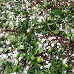 تگرگ ۱۵۰ میلیارد تومان به باغات پیرانشهر خسارت زد